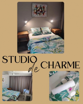 Joli studio cocooning & discret, à 2mns de la 4 voies